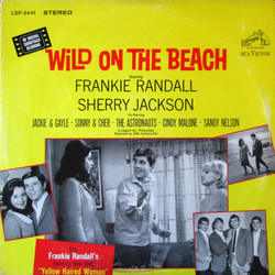 Wild on the Beach - Jimmie Haskell, Various Artists